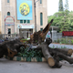Image for article titled In India’s Silicon Valley, dying trees mirror a beautiful city’s dreadful decline